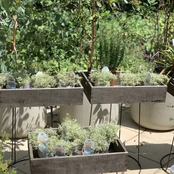 ルミリュウ鎌倉山　鎌倉カフェ　花屋