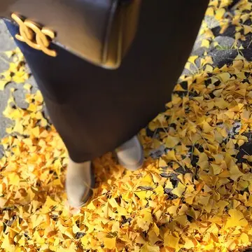 H＆M　イチョウの絨毯