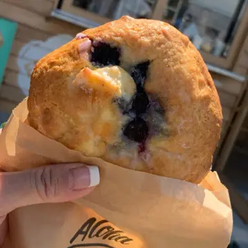 ブルベリーチーズクリームスコーン　パシフィックベーカリー