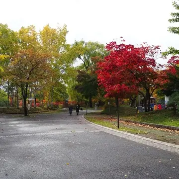 中島公園に入るとさっそく紅葉を発見