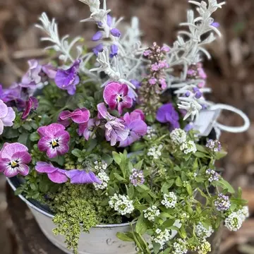 コピスガーデン