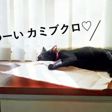 紙袋の感触、音が大好きで、あれば入りたい。