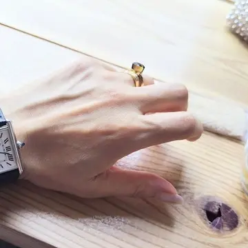 Cartier　アンテプリマ　ポメラート　fred