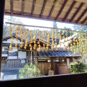 食事処 丹波猪村　