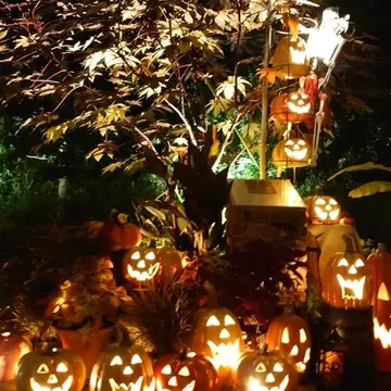 横浜イングリッシュガーデン