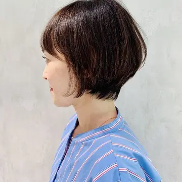 前回のカット　横