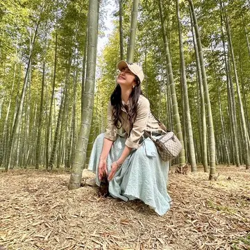 筍掘ってるつもり