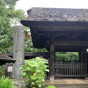 極楽寺　アクセス　山門　