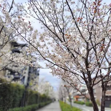 阪急西宮ガーデンズ