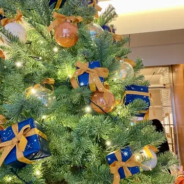 ブルガリ銀座タワー『BVLGARI Ginza Bar & Dolci（ブルガリ 東京 銀座 バー＆ドルチ）』のアフタヌーンティー　エントランスのクリスマスツリー｜銀座2丁目・セイボリー中心12時回で