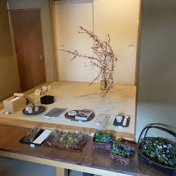 京都市北区の花屋みたてさん店内