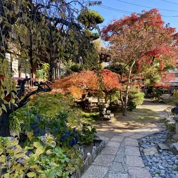 早稲田・法輪寺の庭園、紅葉に彩られた石畳の小径。秋の散策、花手水の名所、早稲田の紅葉スポット