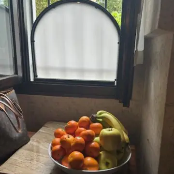 イタリア　ミラノ　イタリア旅行　演奏旅行　演奏会　ヌヴォレーラ　貴族　鶏　置物　食器