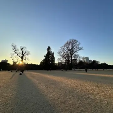 新宿御苑　新宿　自然　散策　草木　花　都内　冬