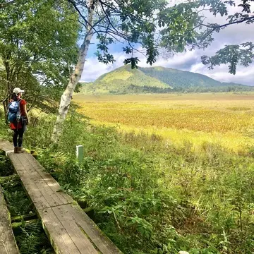 長野県の霧ヶ峰、八島高原