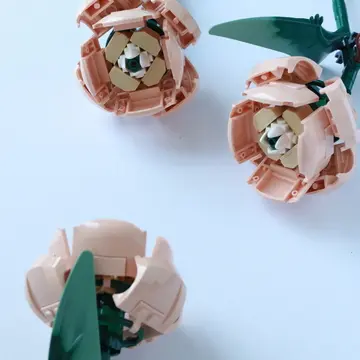 バラ　大人のLEGO