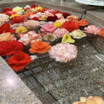 大温室の中にある花手水