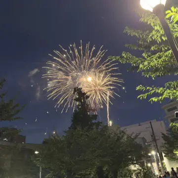 隅田川花火大会