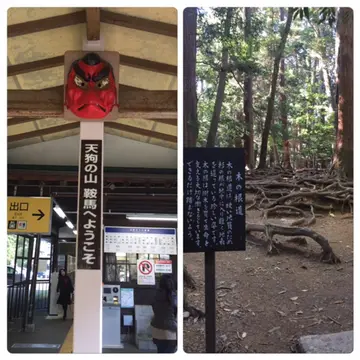 京都めぐりの画像_6