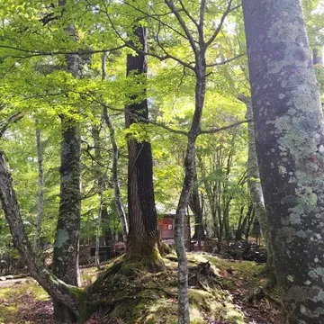 イタリア大使館別荘記念公園、中禅寺湖、奥日光