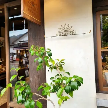 由布院 鞠智 cucuchi