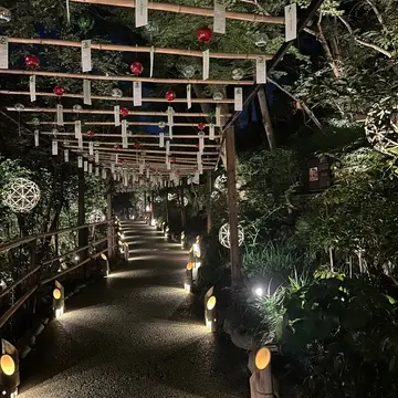 日本庭園　庭園　散歩　散策　竹あかり