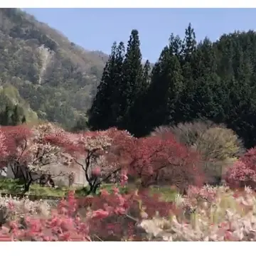 パーフェクトプチ旅行、長野県飯田市。の画像_1