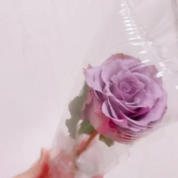 購入当日のCapriceAir