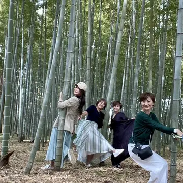 竹からひょっこり　1人コアラ？