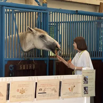 NASU FARM VILLAGE 梅澤千佳子