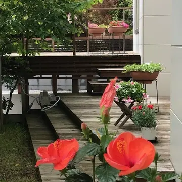 お庭がお気に入りの場所