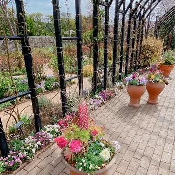 横浜イングリッシュガーデン園内