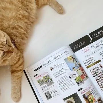 éclat7月号に掲載していただきました