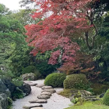足立美術館の庭園３