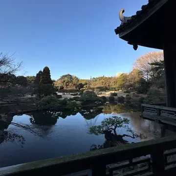 新宿御苑　新宿　散策　花　都内　自然　旧御涼亭　映えスポット