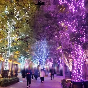 こんなに綺麗な光景が広がっています。