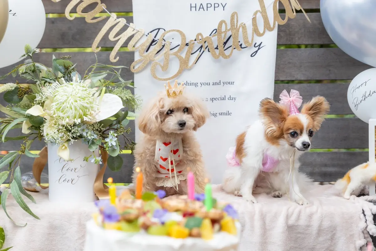 エクラ 華組　鈴木たま江さんの愛犬