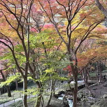 京都　八瀬　もみじの小径