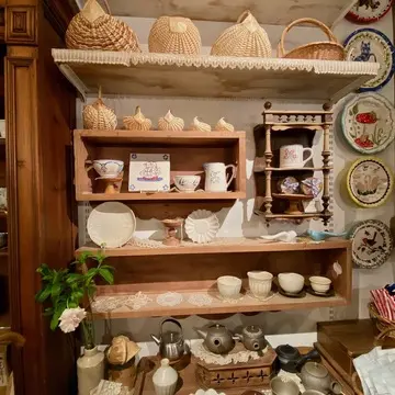 中野オオハシ店内