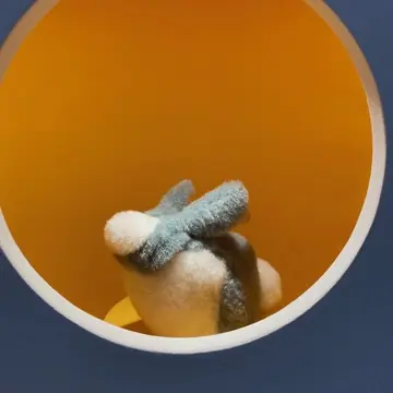 原宿「ロエベ展」「意外な対話」の部屋スナ・フジタの動物シリーズ