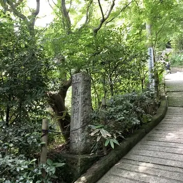 長谷寺　　整理券　入場券　web予約