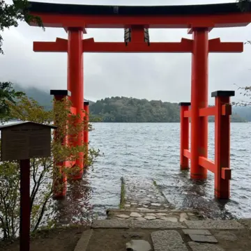 仙郷桜別邸奥の樹々　夕食