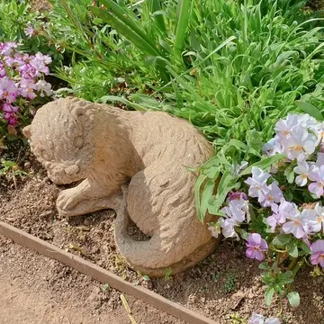 横浜イングリッシュガーデン園内の花壇