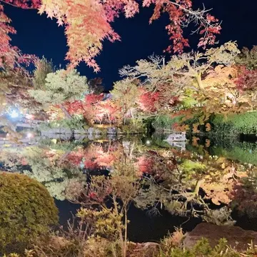 永観堂　ライトアップ