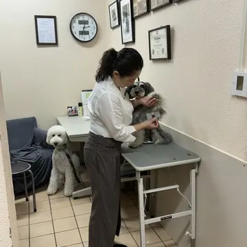 ハイアットリージェンシー箱根