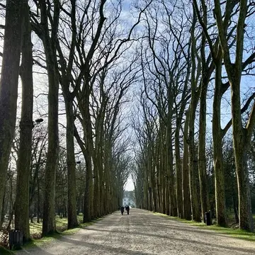 シュノンソー城の庭園