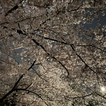 20℃超えの金曜日。さて、何着ようか。の画像_1