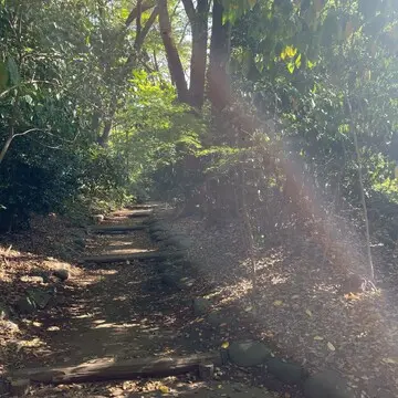 紀尾井町ビル裏の清水谷公園