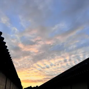 京都　西本願寺