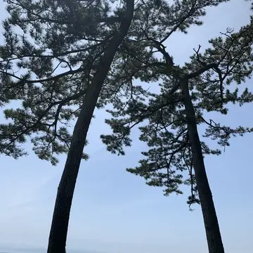 鎌倉海浜公園